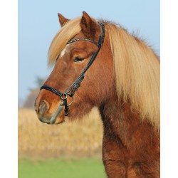 Brida "Iceland Chique"