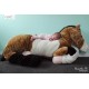 Caballo de peluche Estrella