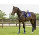 Protectores cross delanteros Technical