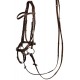 Brida Anatomic