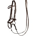 Brida Anatomic