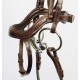 Brida Anatomic