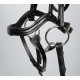 Brida Anatomic