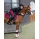 Protectores Astana QHP