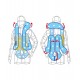 Chaleco Airbag MLV-CM / MLV-CL