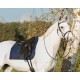 Sudadero Puff Pad Anatomic "QHP"